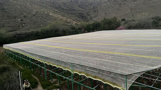Rede agrícola à prova de insetos de HDPE tratada com UV fornece resistência a lágrimas