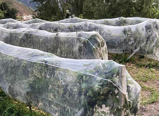 Rede anti-insectos de HDPE para estufas e proteção de plantas